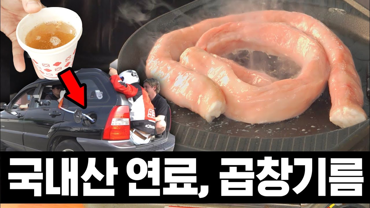 곱창기름을 자동차 연료로 사용해 봤습니다