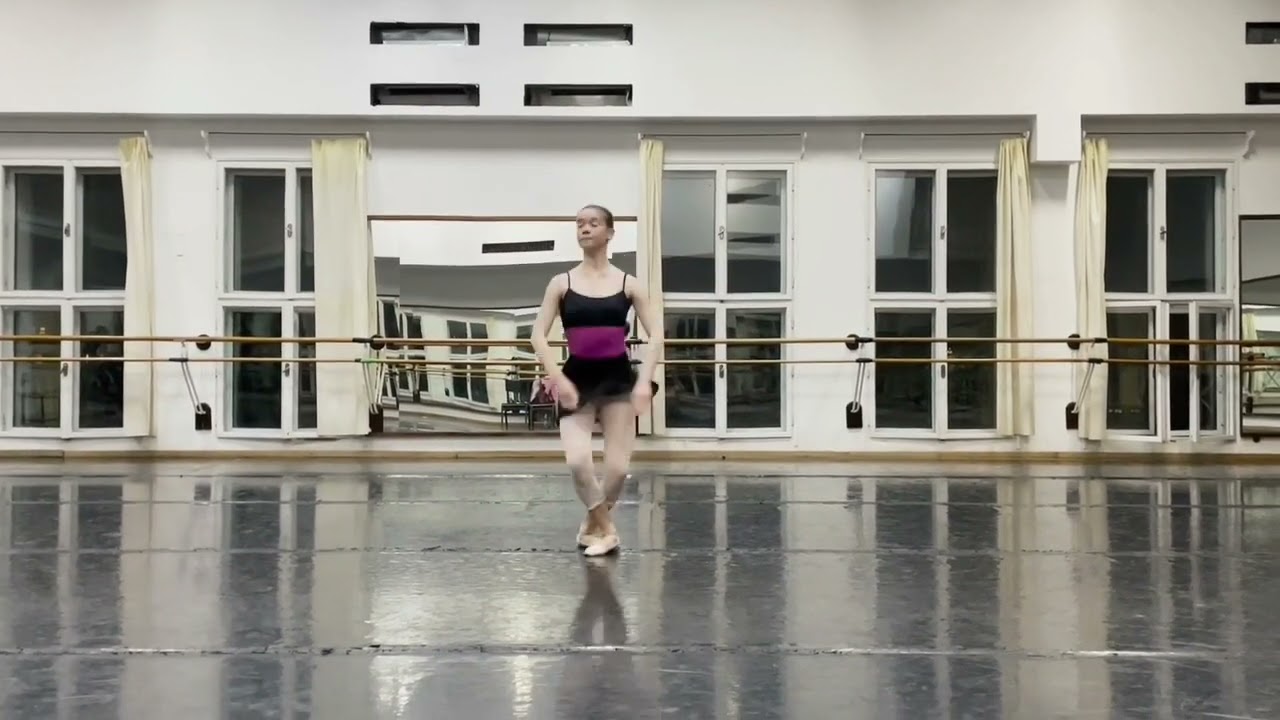 NDT- SUMMER INTENSIVE AUDITION VIDEO