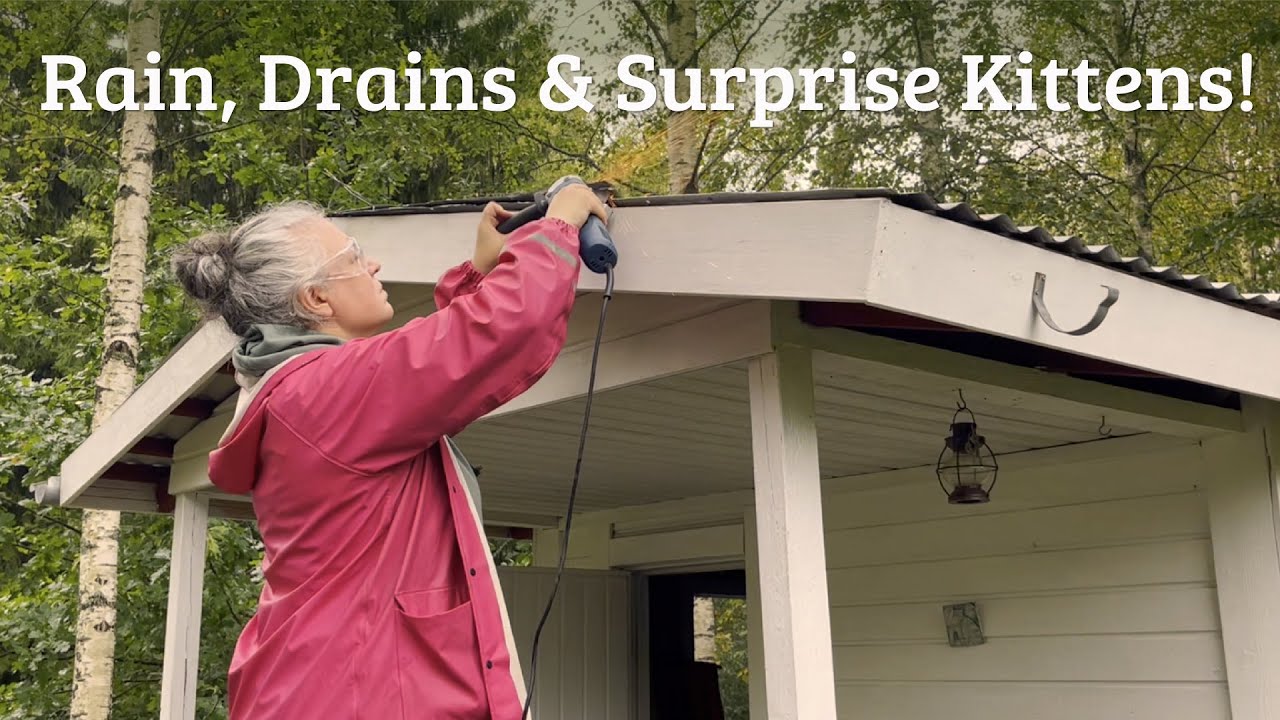 Rain, Drains & Surprise Kittens! | Life at Siskola (#200)