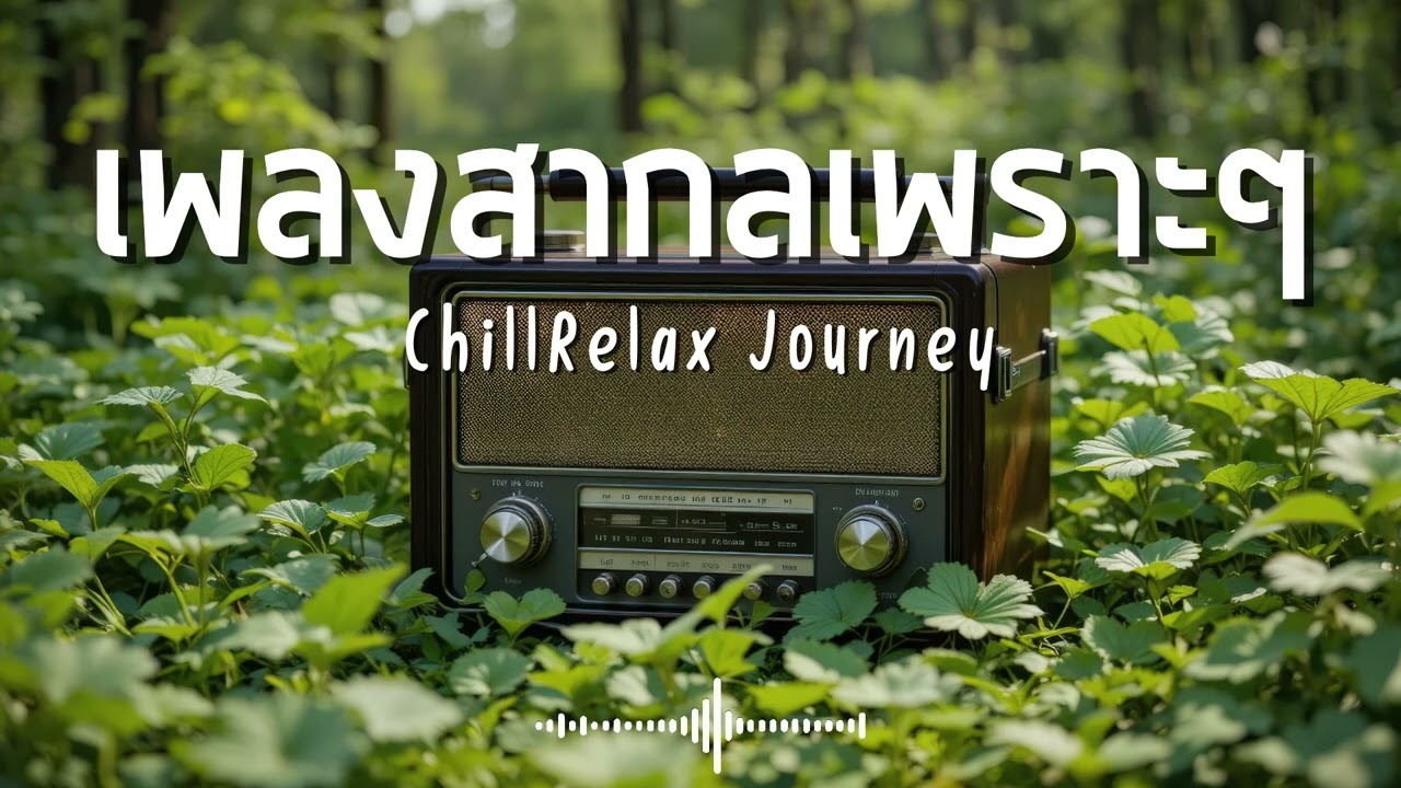 ChillRelax Journey Vol.381 รวมเพลงสากลเพราะๆ ฟังสบายๆ  #เพลงใหม่ล่าสุด  #เพลงฮิต #เพลงสากล #รวมเพลง