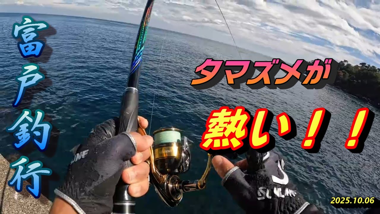 富戸釣行  夕マズメが熱い‼️‼️2025.10.06
