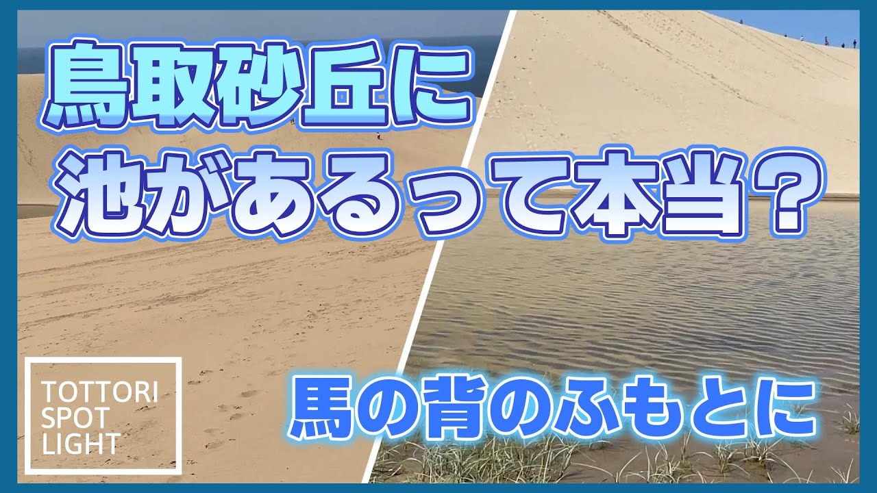 砂丘の中に水が湧く？歩いて出会った小さなオアシスとは？#7