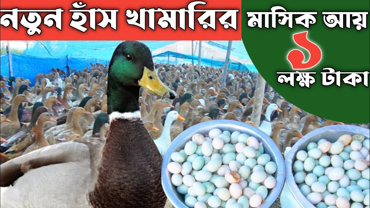 খামারির মাসিক আয় ১ লক্ষ টাকা -- খামারির আয় -- খামারির সফলতা গল্প -- খামারি লাভার#খামার 