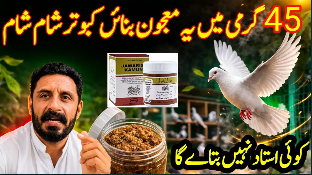 45 GARMI ME YE MAJOON BNAI KABOOTAR SHAM SHAM BETHIN GY 