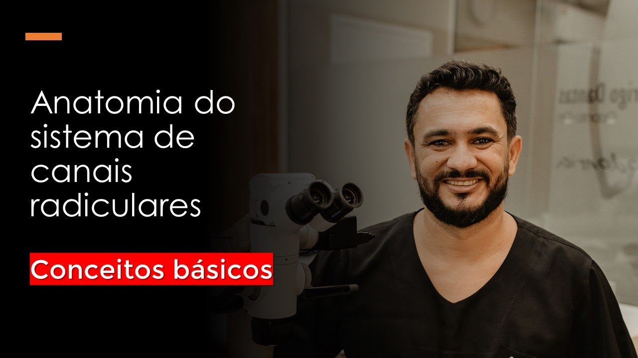 Conceitos b&aacute;sicos - Anatomia do sistema de canais radiculares
