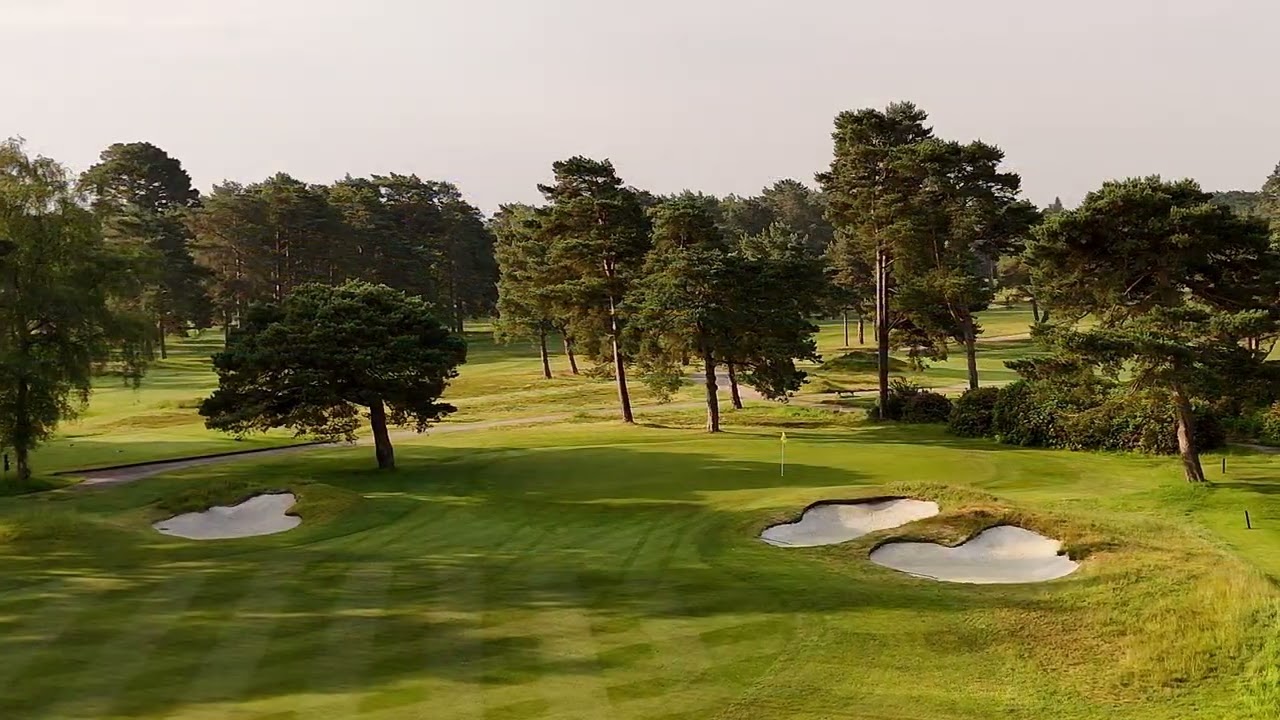 Ferndown video V1