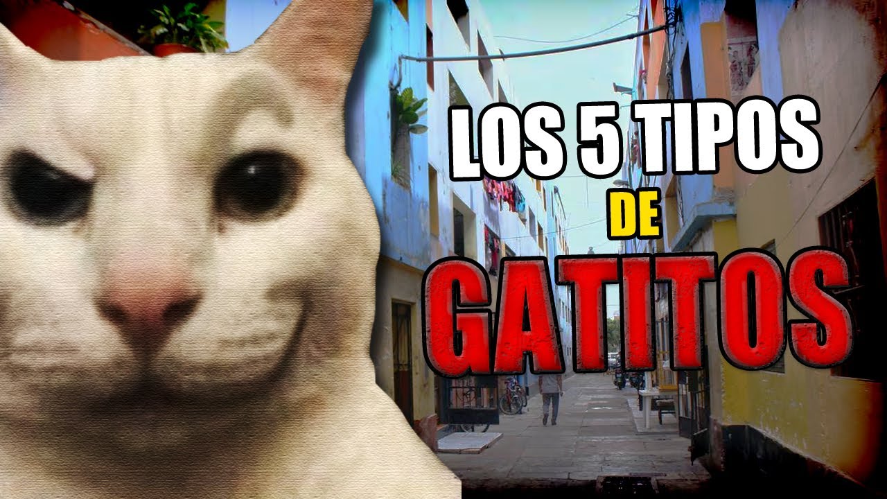 ¿Por qué ronronean?😻 Los GATOS (2001) PARTE 86 😼 #Top 5