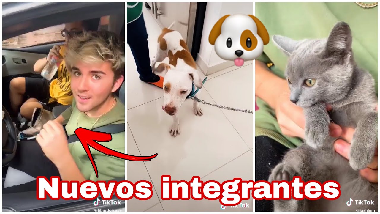 Los nuevos integrantes de Prive🐶🧔🏻🐱