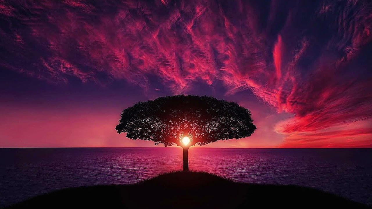 Soothing Evening Sunset Beat for Concentration & Relax | Soothing Beats