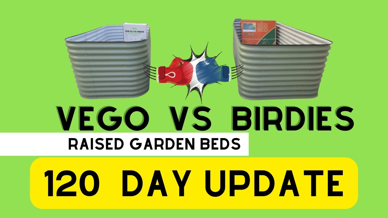 Birdies vs Vego Raised Garden Bed Review Comparison 120 Day Update