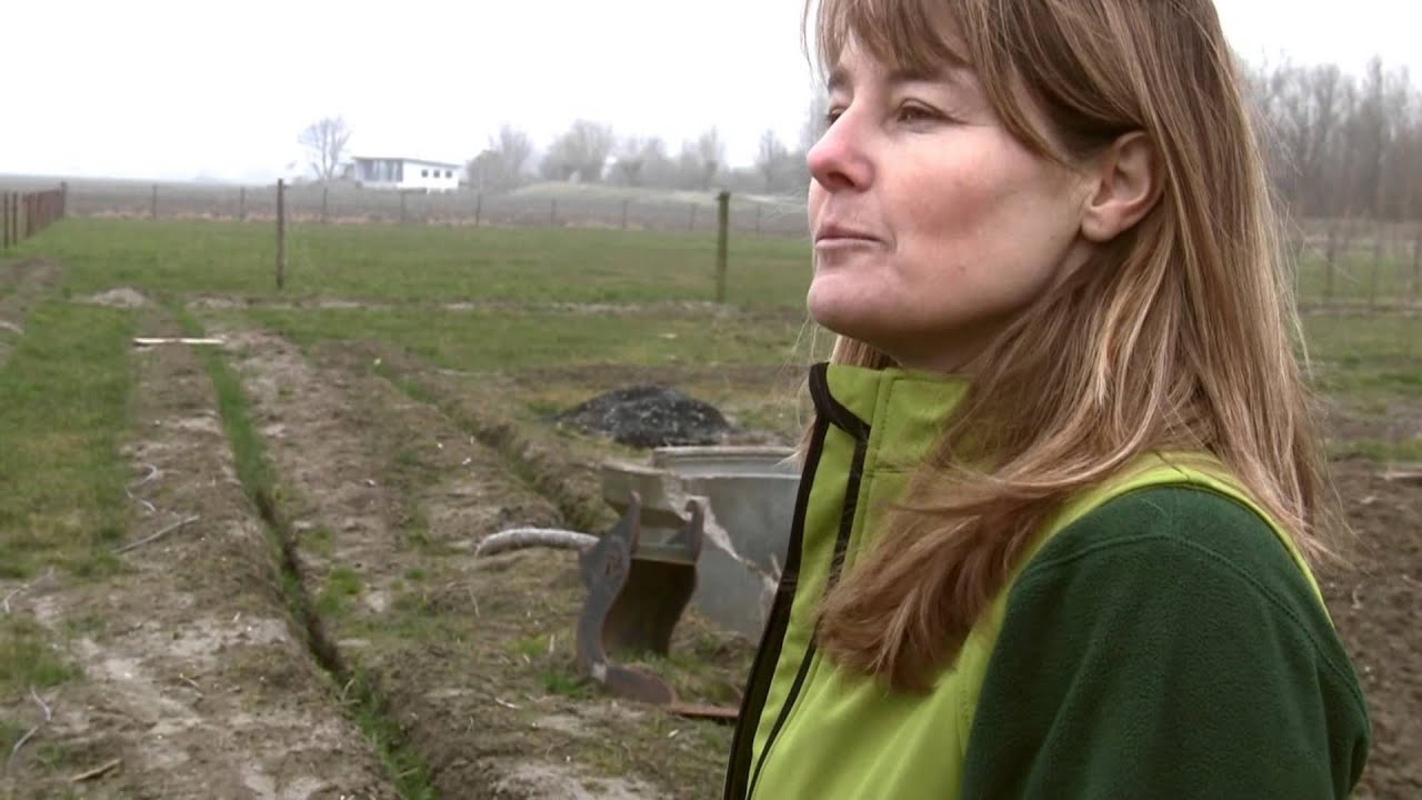 PaardenWeide in Oostburg | KikkeTv Sluis