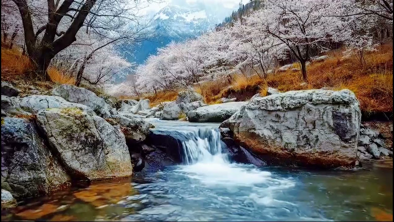 Peaceful River stream ASMR // Flowing Water Sounds for Sleep, Focus & Relaxation