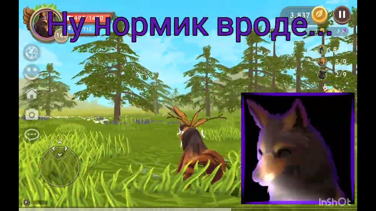 Обзор на Wild Club в WildCraft (не так уж и плохо)