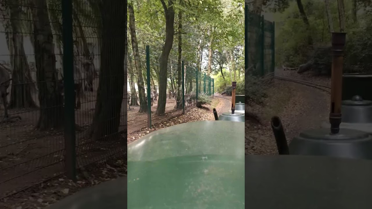 Blackpool zoo train Driver POV