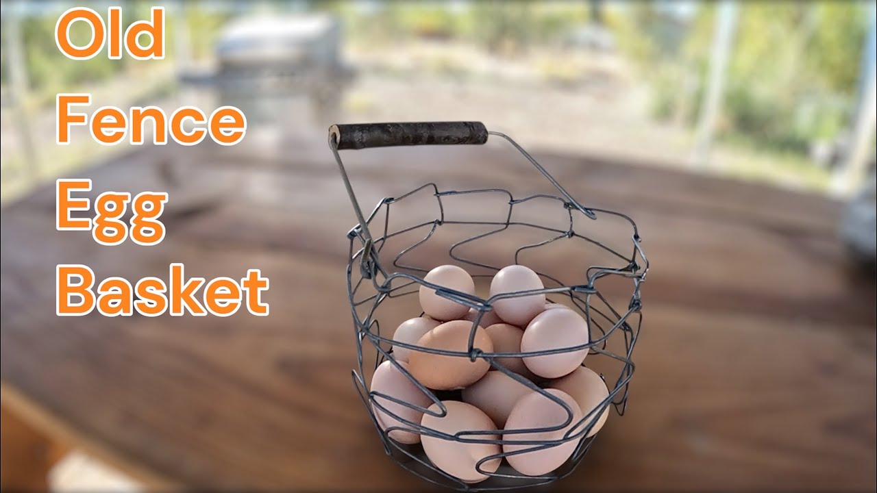 DIY Egg Basket Made From Wire Fence