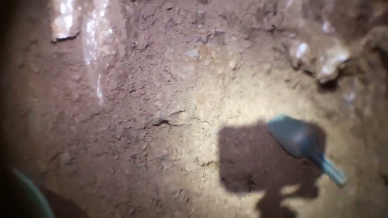 Du nouveau au trpou du piège à loup, et autant de sacs à sortir.