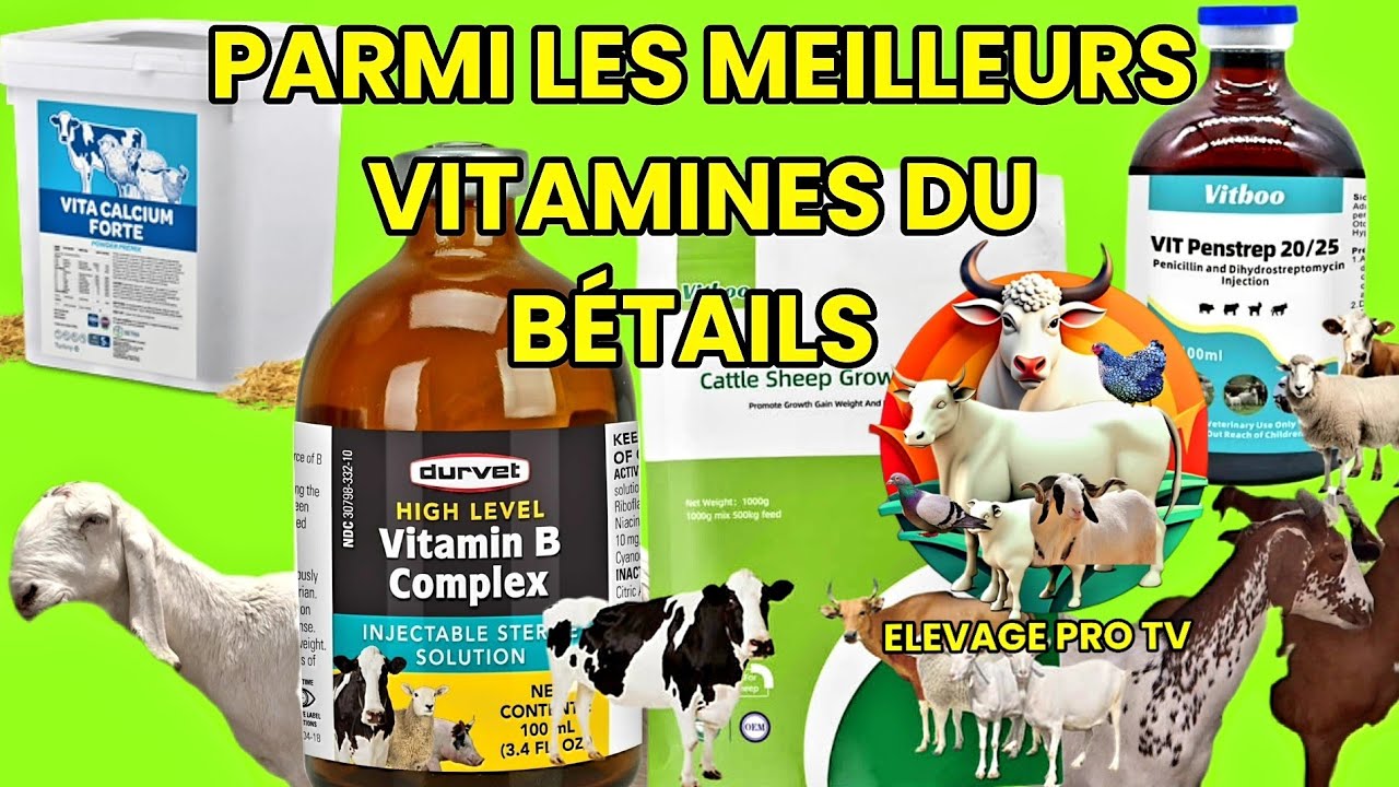 Parmi les meilleurs Astuces pour les meilleurs vitamines du bétail très important à écouter et à ...