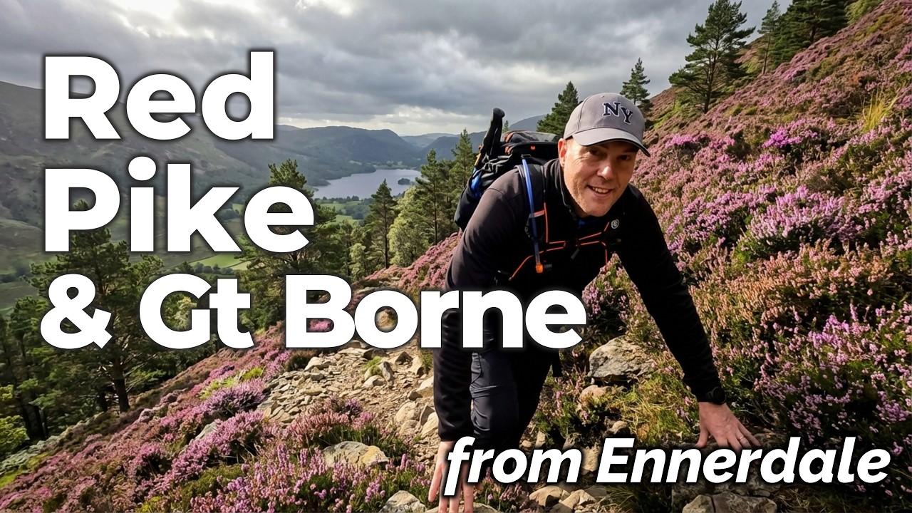 Front door to summit in 75 minutes? I didn't believe it either 😮⛰️🌲