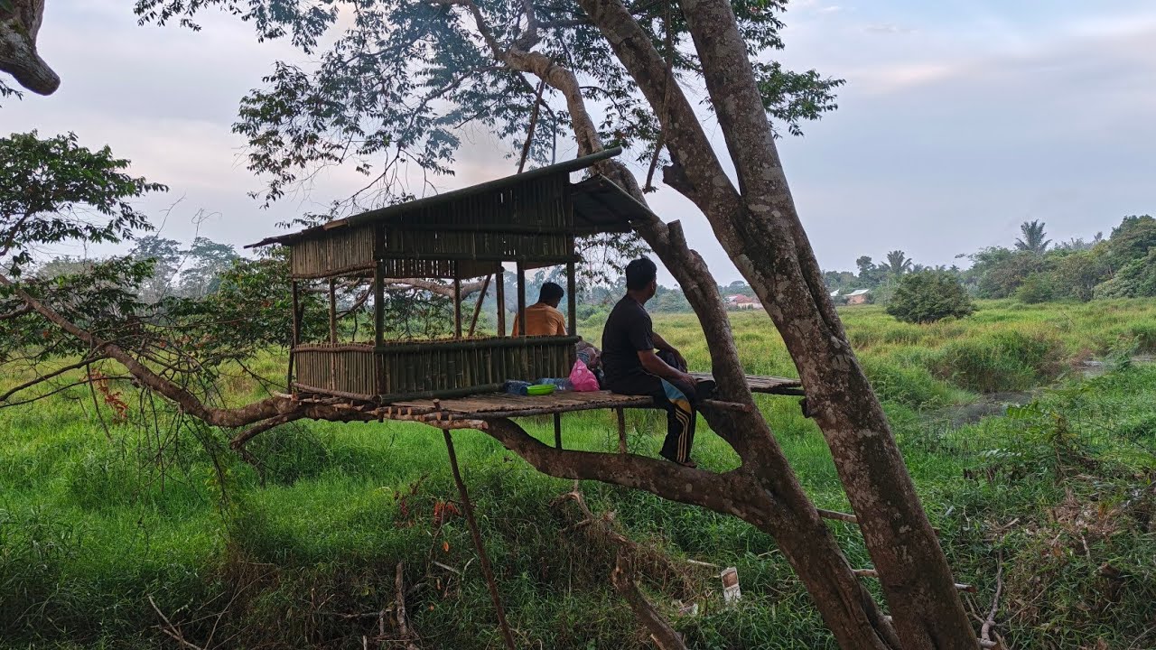 6 hari camping  membangun rumah pohon tepi sungai dalam hutan
