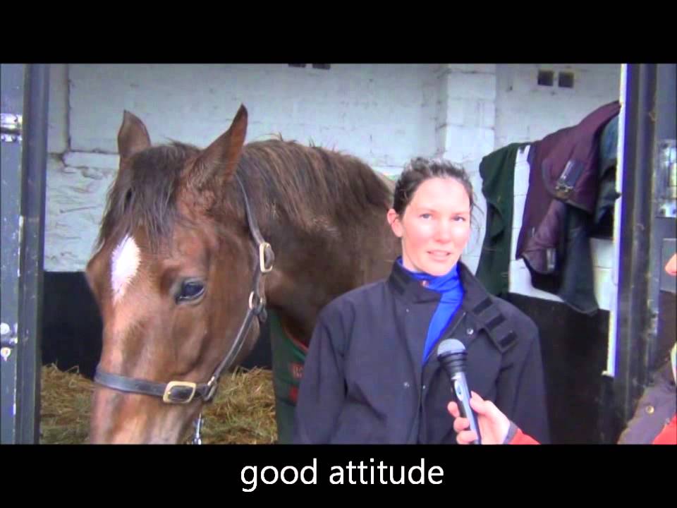 HorseMarket.ie - Leamore Sport Horses - Anna Calder