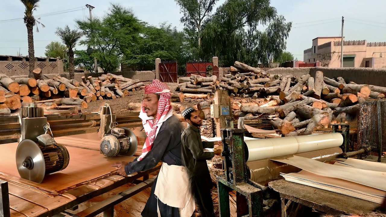 Process of Making Plywood ' How Plywood are made