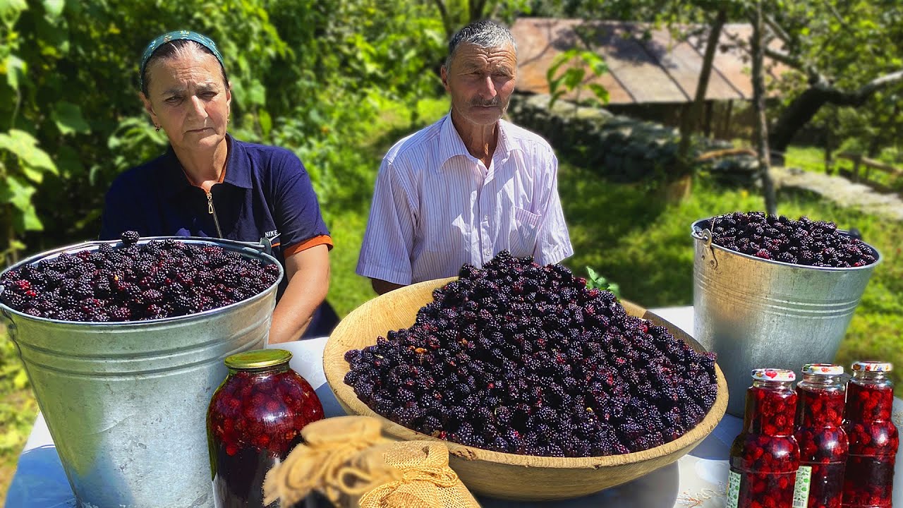 Сбор Дикой Ежевики в Горах и Приготовление Ежевичного Пирога и Варенья в Деревне