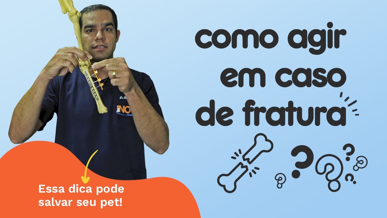 Como agir em caso de fratura - Inove Saúde animal