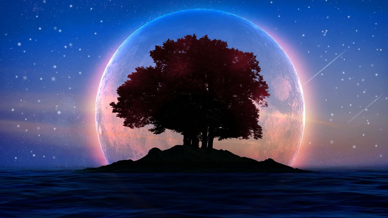 Música Relajante para Dormir, Meditar y Aliviar El Estrés | Música para Sanar Mientras Duermes