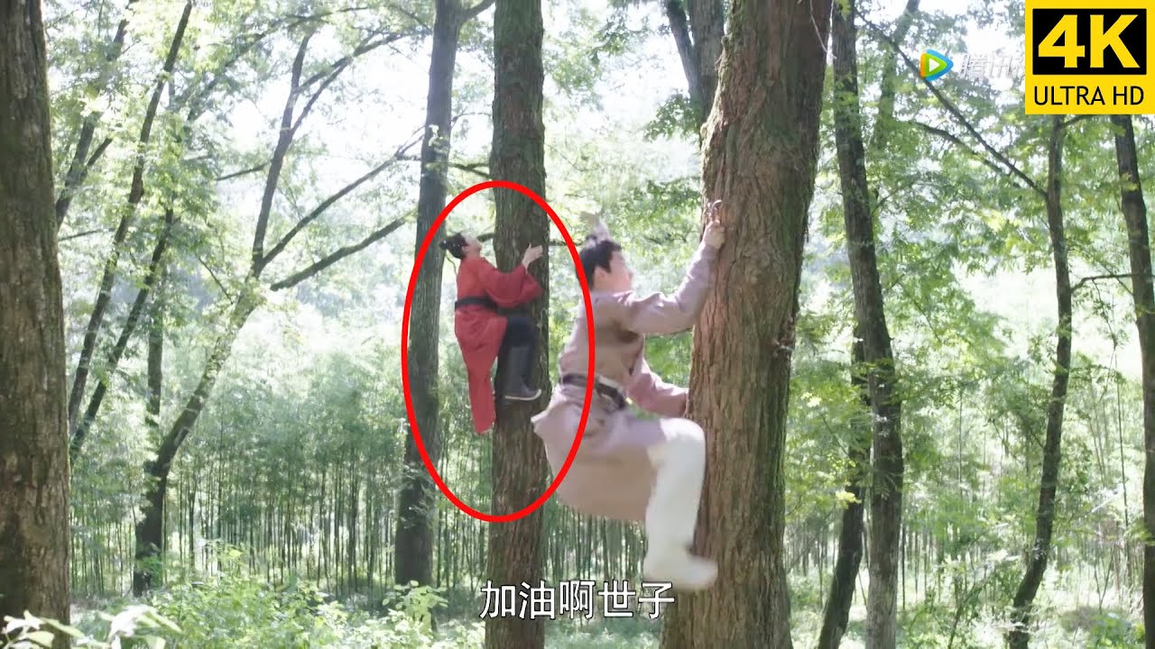 假小子竟是隱藏武功高手，爬樹比賽中1招擊敗王爺，皇上親賜她黃金萬兩！ #女世子#姜潮 #尤靖茹 #電視劇#愛情