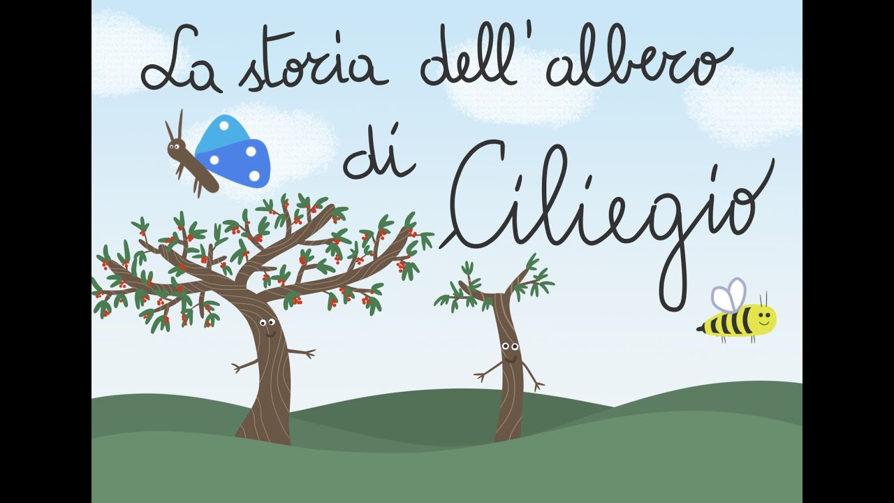 la storia dell'albero di ciliegio