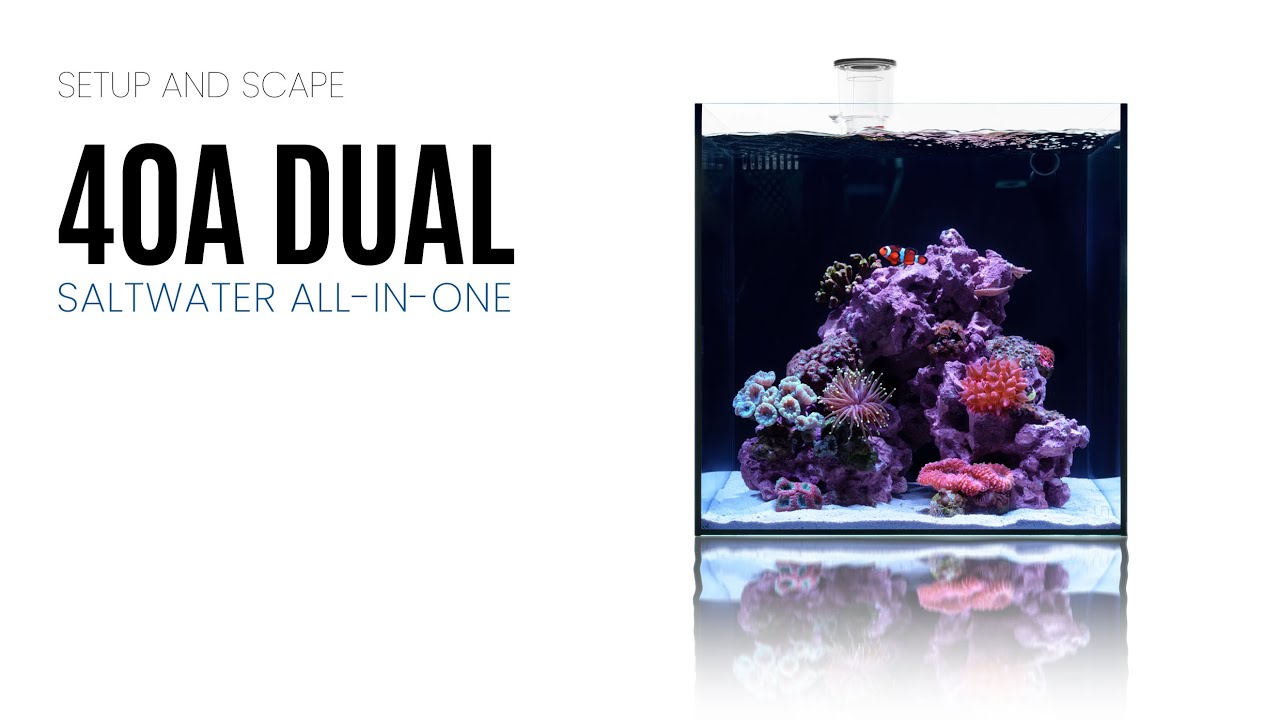 UNS 40A Dual All-in-One Saltwater Aquarium - Scape an AIO Aquarium