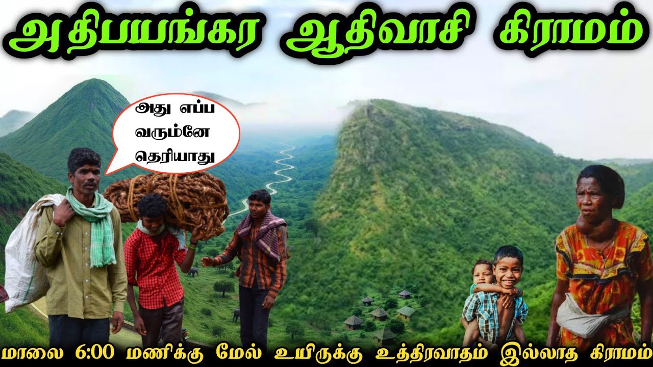 அதிபயங்கர ஆதிவாசி கிராமம் 🚷6 மணிக்கு மேல வெளியே வரமாட்டோம் #village #culture  #danger #traibal