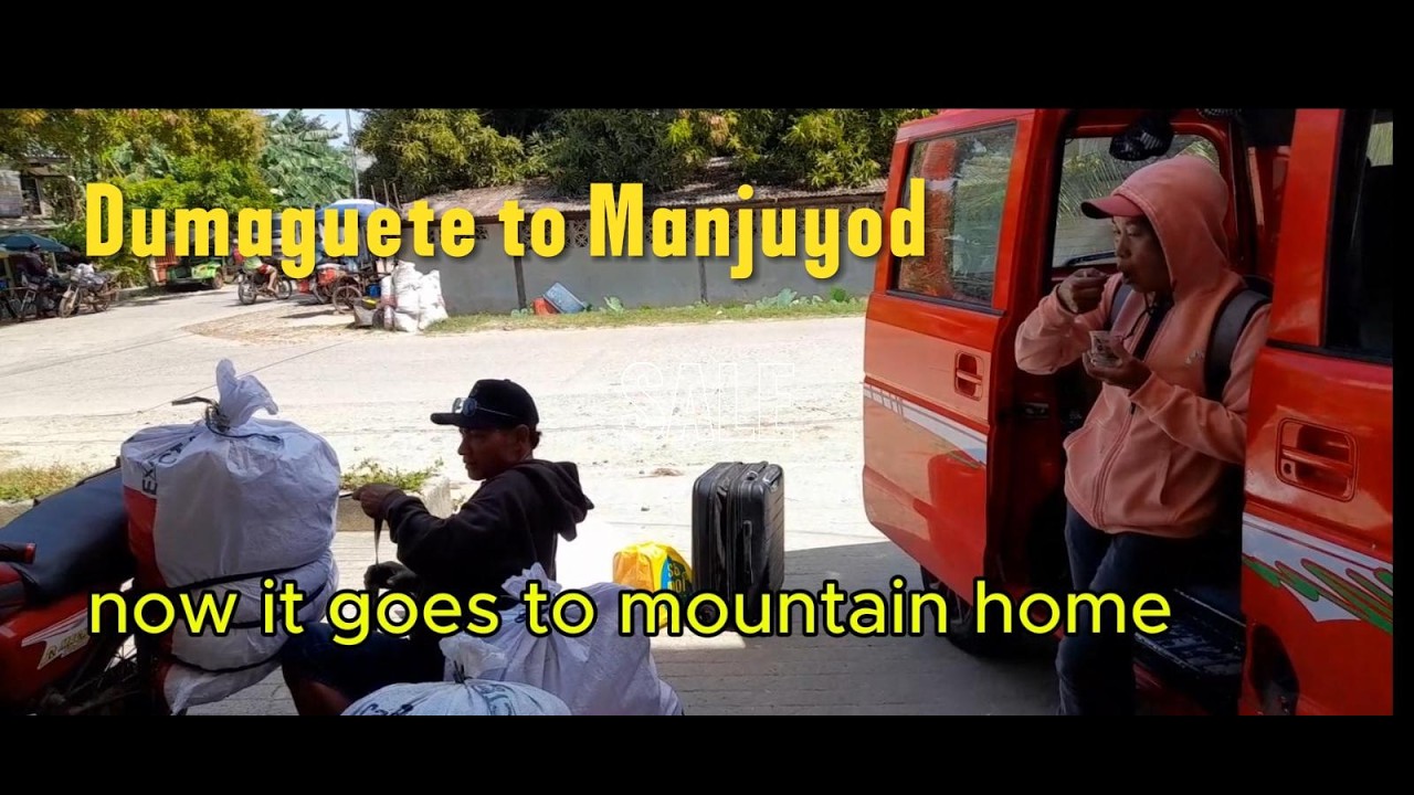 Fun moving trip