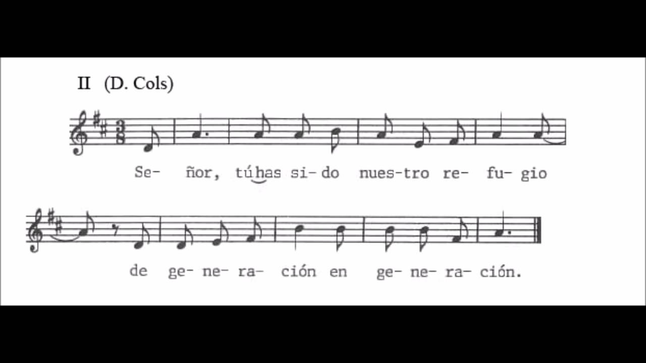 Salmo XVIII del Tiempo Ordinario Ciclo C