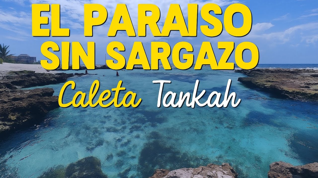 PARAÍSO SIN ZARGAZO | Caleta Tankah