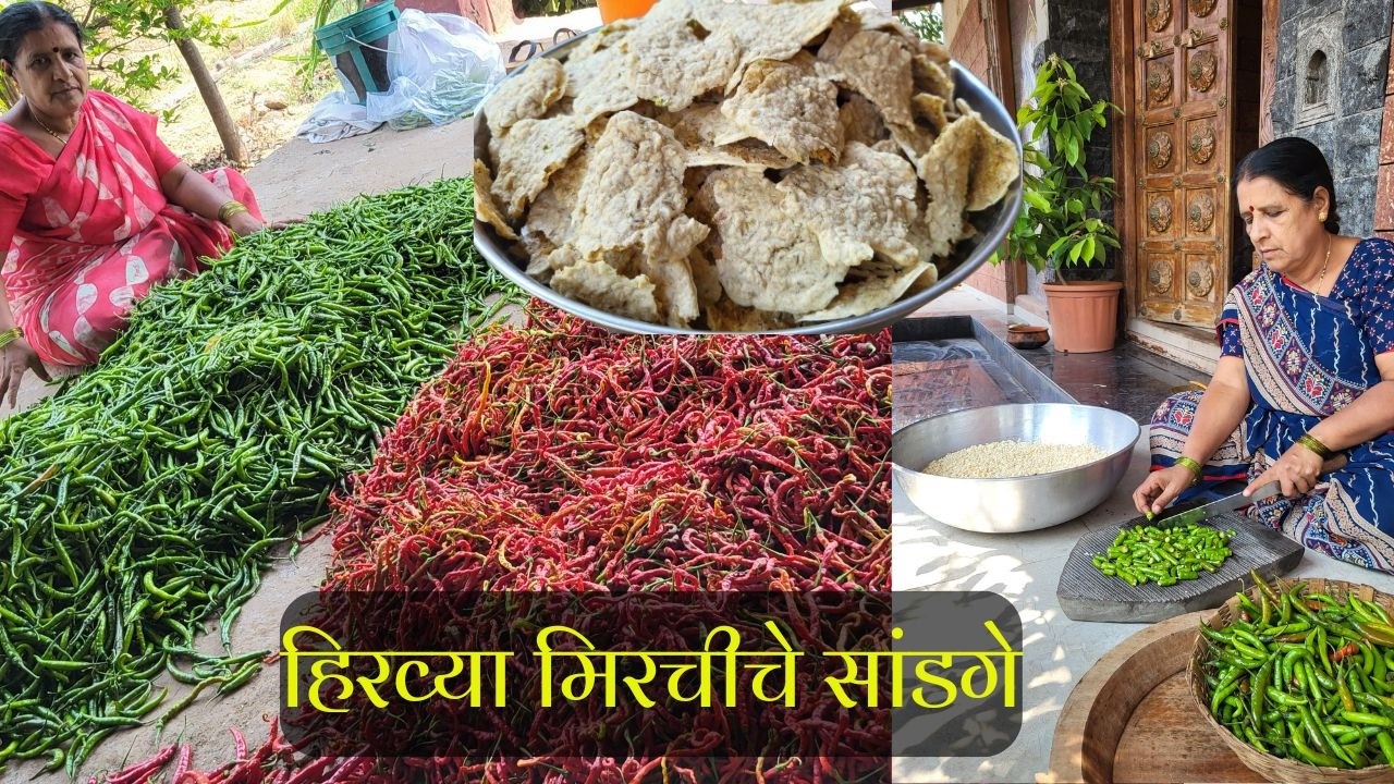 १०० किलो लाल हिरव्या मिरच्या तोडून केले झणझणीत आणि खुसखुशीत हिरव्या मिरचीचे सांडगे | unhali valvan