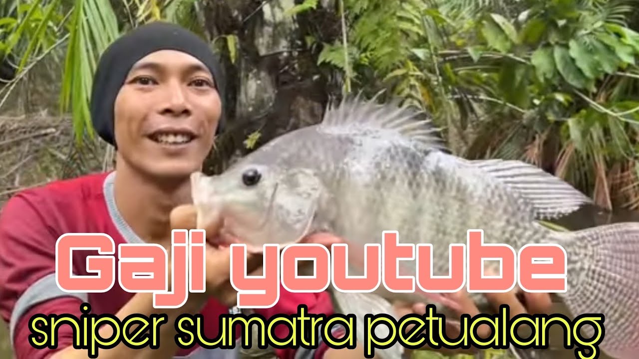 gaji sniper sumatra dari youtube