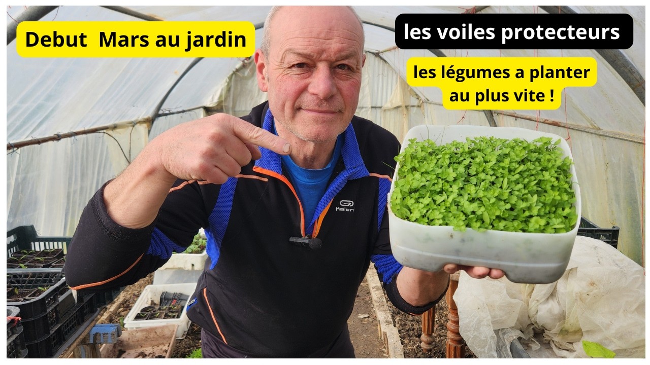 1 er mars au jardin, questions réponses  les légumes  que  j ai  commencé ?