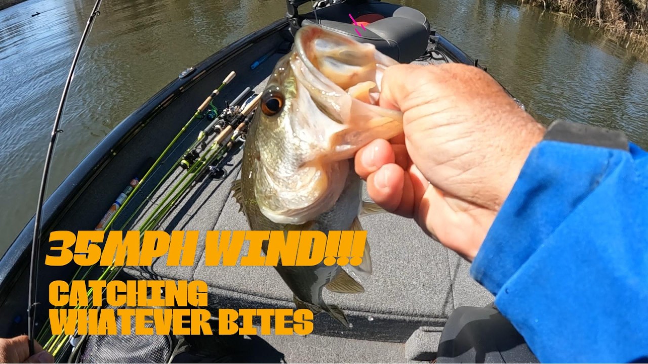 35MPH WIND!!! Catching whatever bites