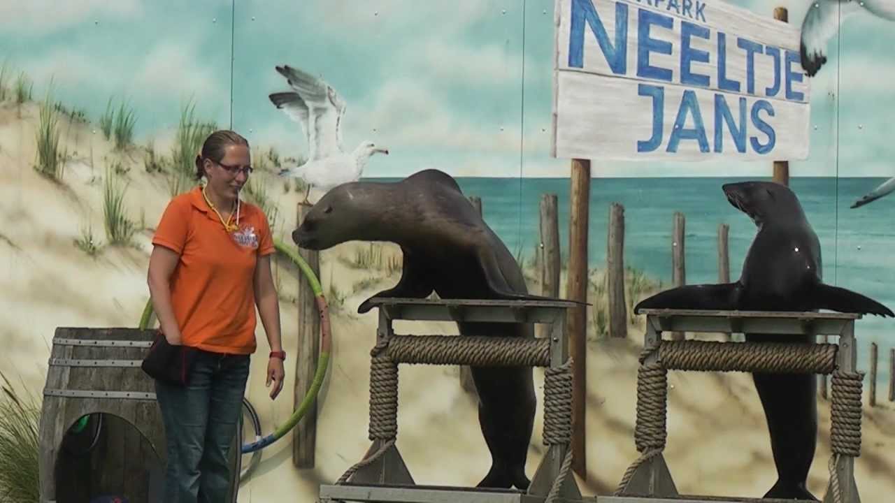Deltapark Neeltje Jans.mpeg