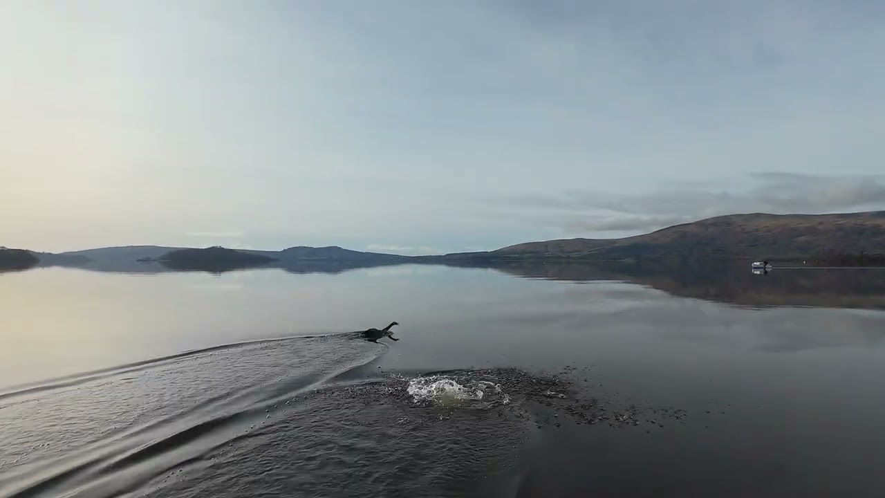Loch Lomond Feb 26