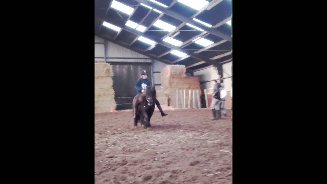 Springen zonder zadel op billy💕