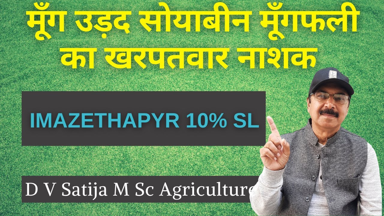 मूँग में खरपतवार नाशक । Imazethapyr 10% SL