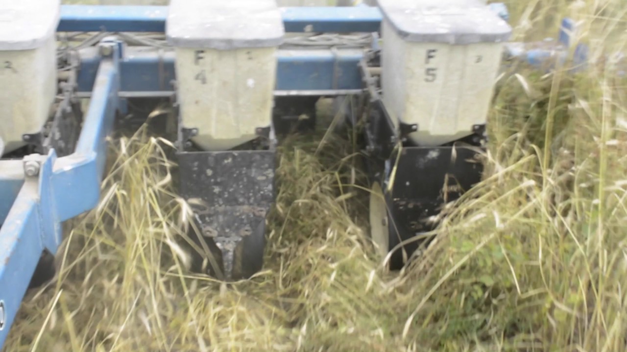 Using Cover Crops