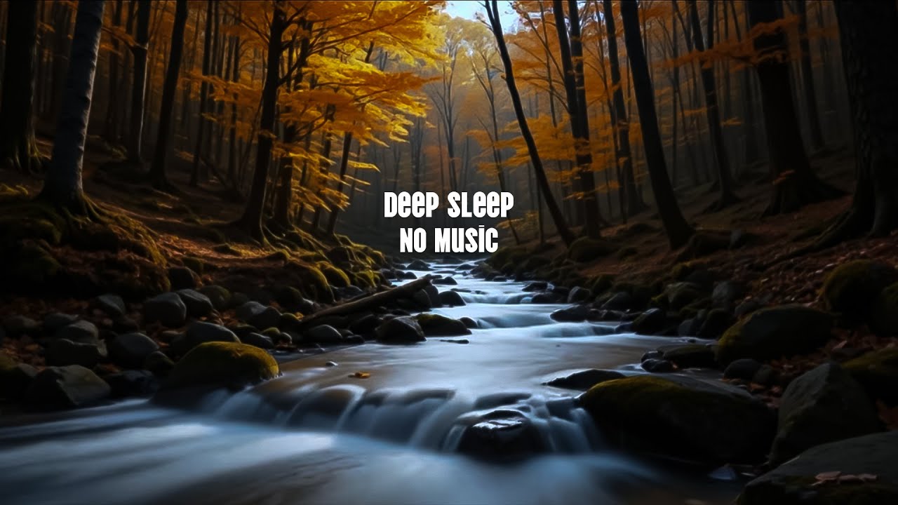 Deep Sleep ASMR – Peaceful Forest River | Insomnia Relief