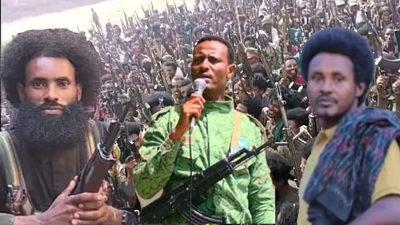 Anchor Media ሰልፍና አውደ ውጊያዎች በሸዋና ወሎ ቀጠናዎች