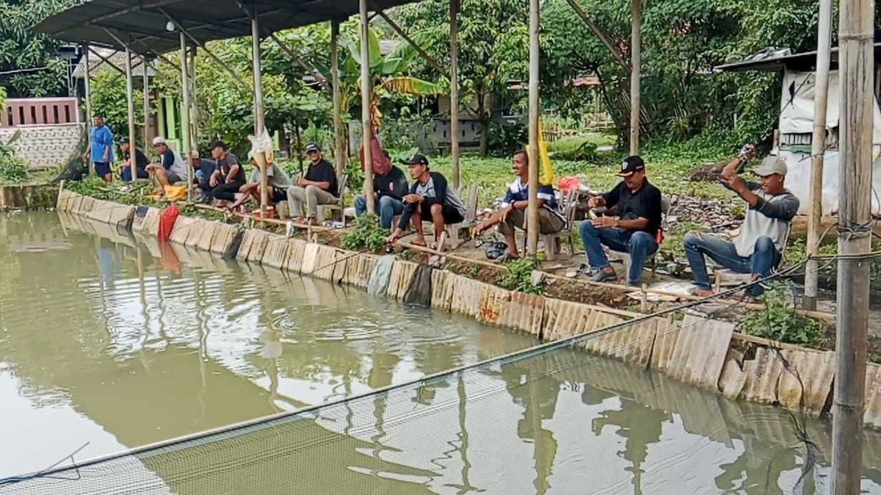 MANCING MINGGUAN SEMUA BERLOMBA-LOMBA UNTUK STRIKE