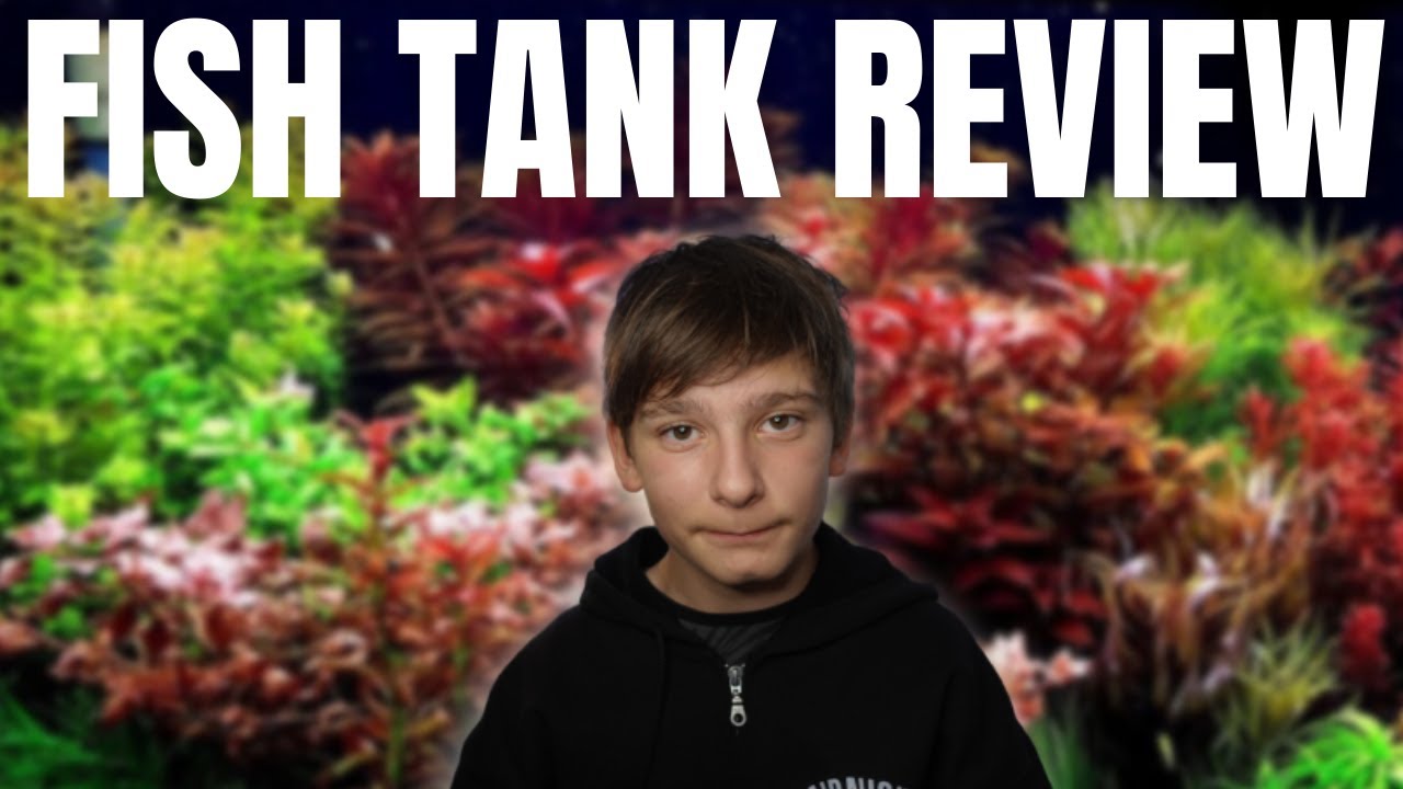 Lazarus the fish boy Fish Tank Review #1