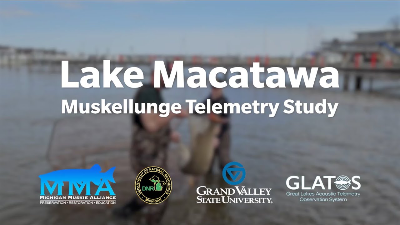 Lake Macatawa Muskellunge Telemetry Study