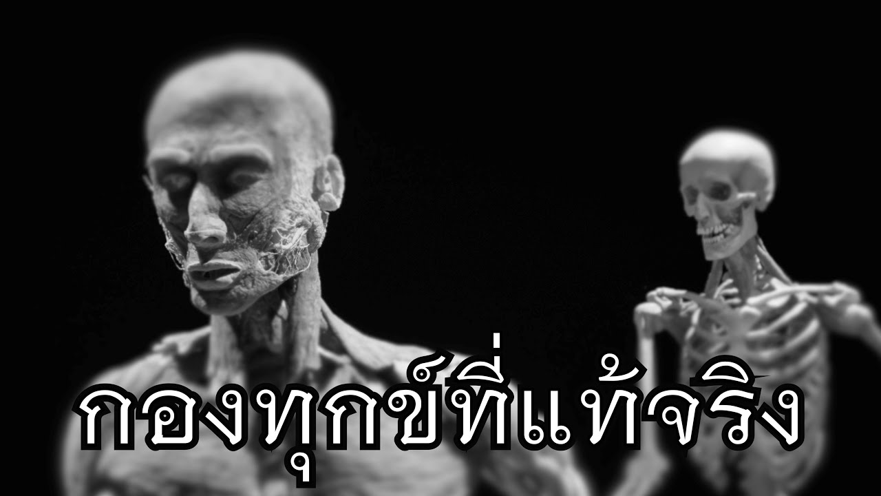 พระอาจารย์สุธรรม สุธัมโม | กองทุกข์ที่แท้จริง วัดป่าบ้านตาด วันที่ ๑๒ สิงหาคม ๒๕๖๕